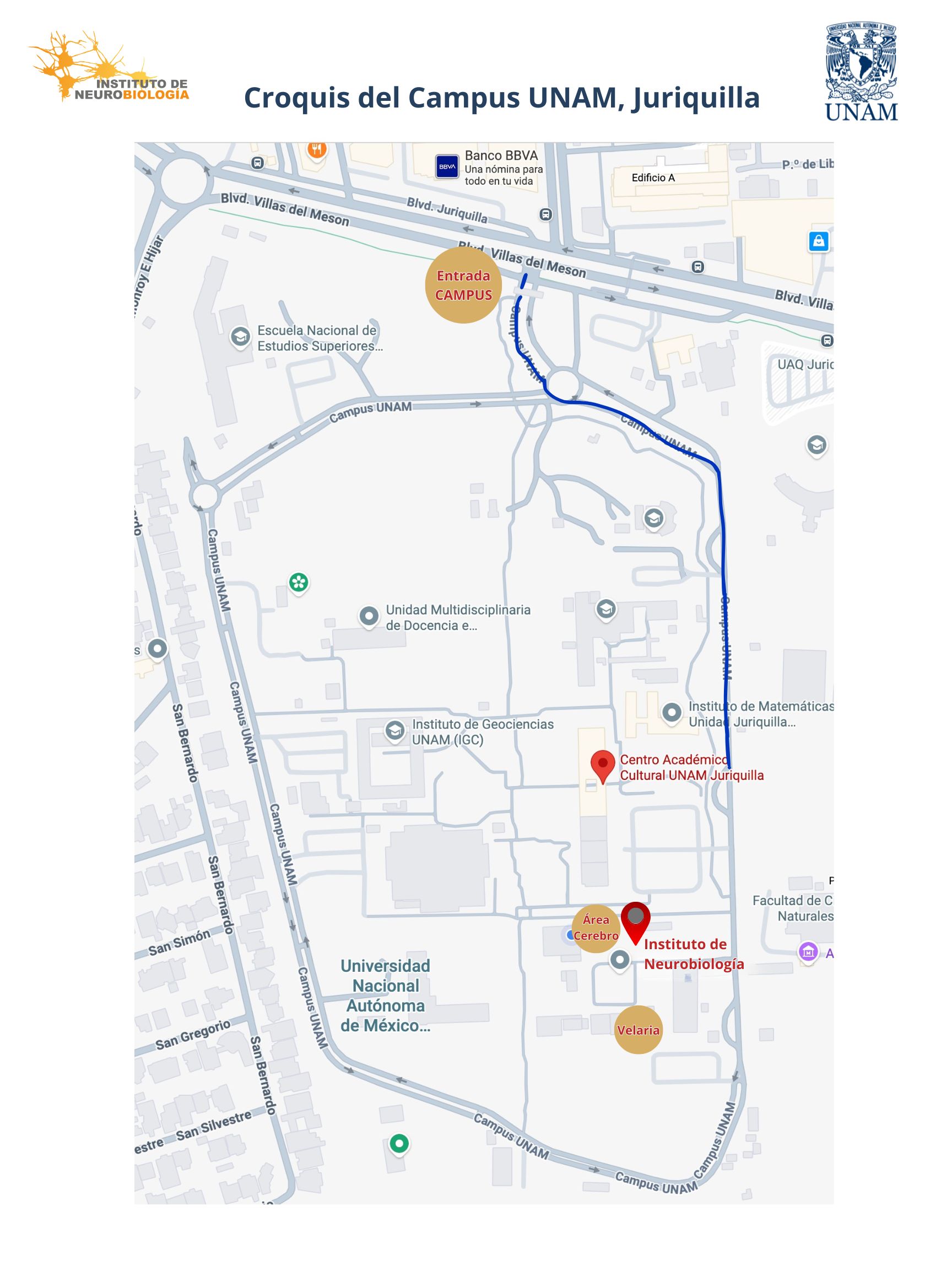 Croquis del Campus UNAM Juriquilla: ruta desde la entrada del campus hasta el Auditorio Dr. Flavio Mena Jara (CAC) y el Instituto de Neurobiología